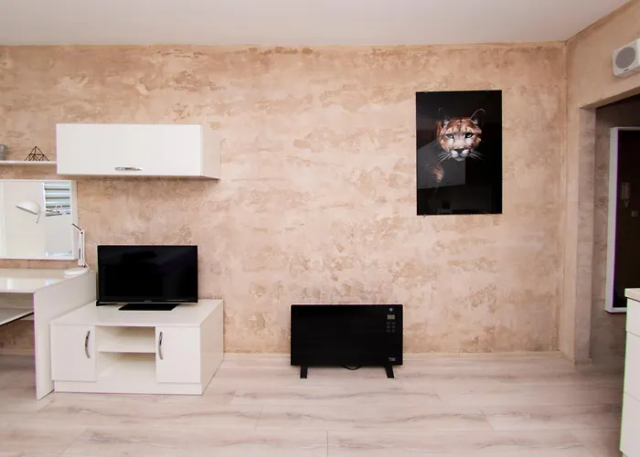 Cozy アパート ソフィア